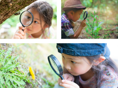 子供が虫眼鏡を使用しており、好奇心旺盛なイメージ