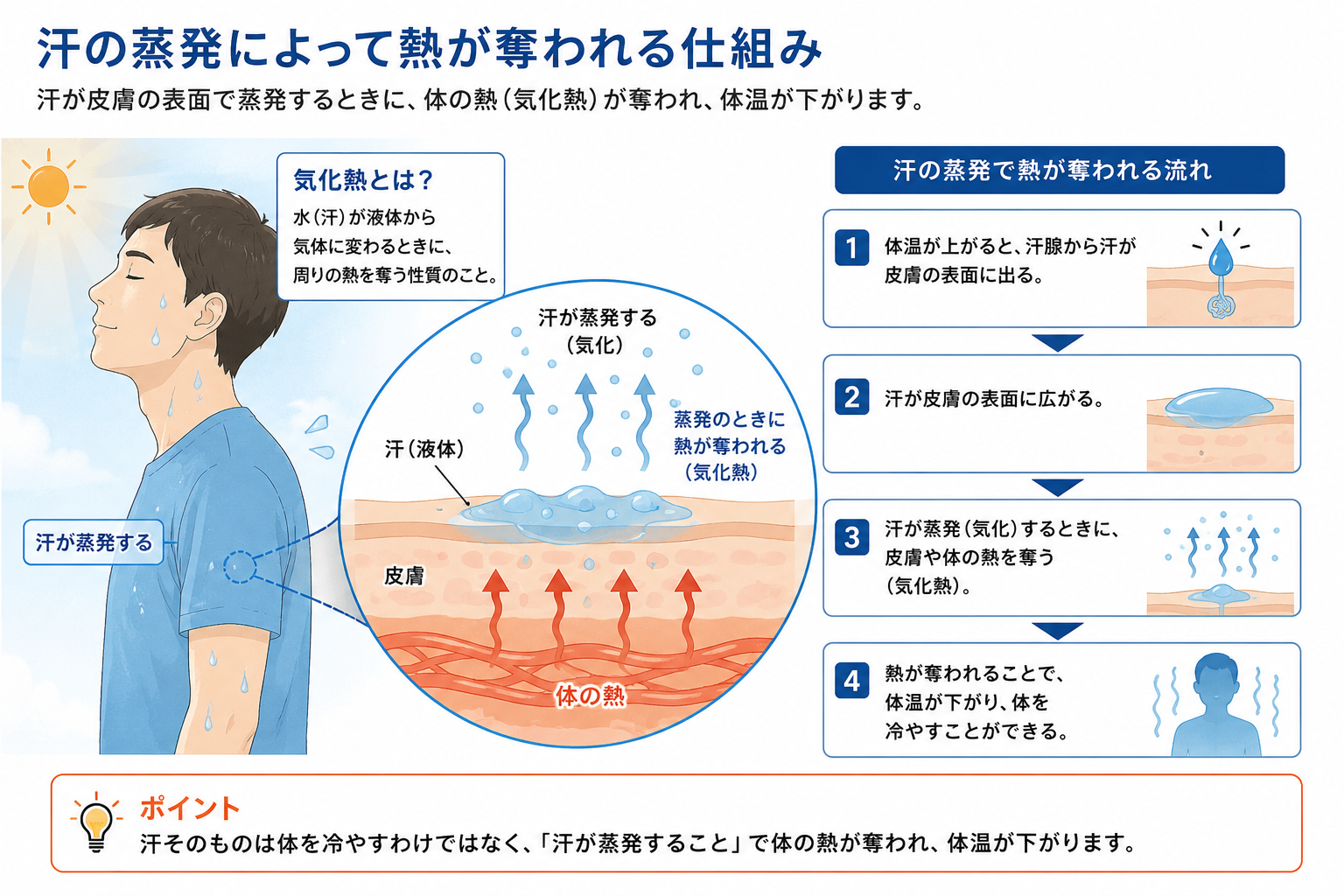 汗の蒸発によって熱が奪われる仕組みを説明する図解